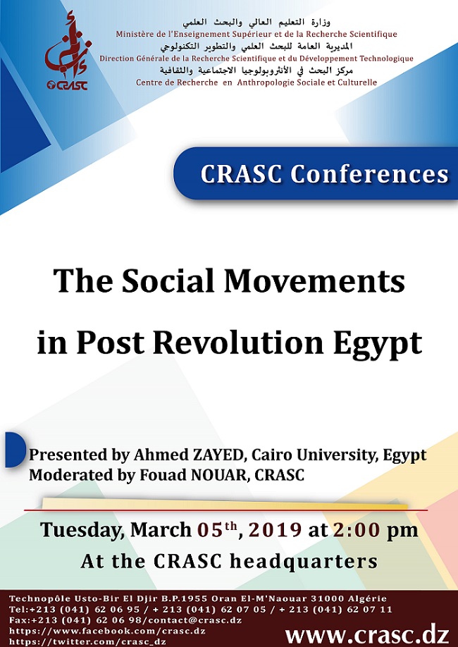 The Social Movements in Post Revolution Egypt