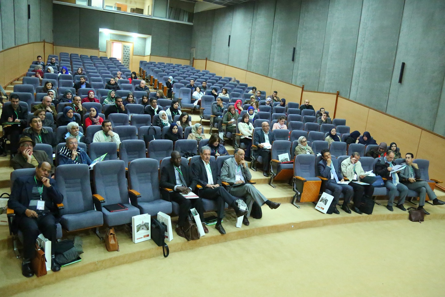 La jeune recherche en sciences sociales et humaines au Maghreb. Institutions et acteurs. Hommage à feu Mohamed Brahim Salhi