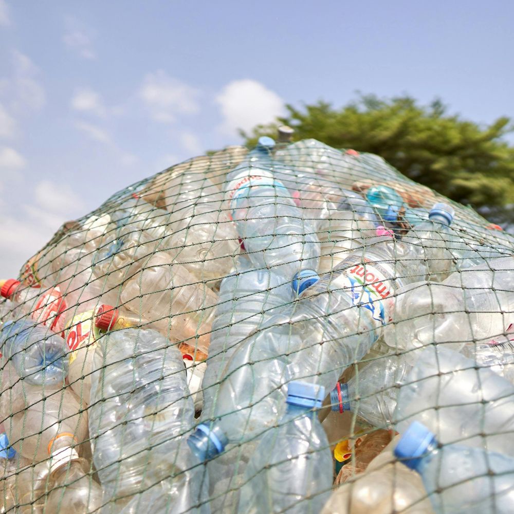 Impact socio-économique de la gestion des déchets durable sur la commune de Chetouane Tlemcen