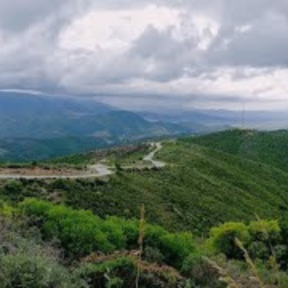 L'autoroute Est-Ouest et les transformations du paysage tribal en Algérie