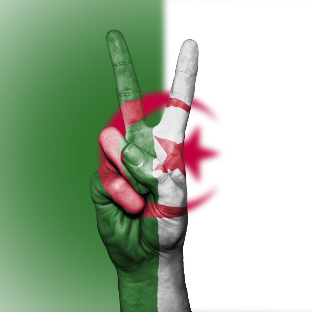Les jeunes et la politique en Algérie : Entre représentations et pratiques - Étude de terrain à Tlemcen