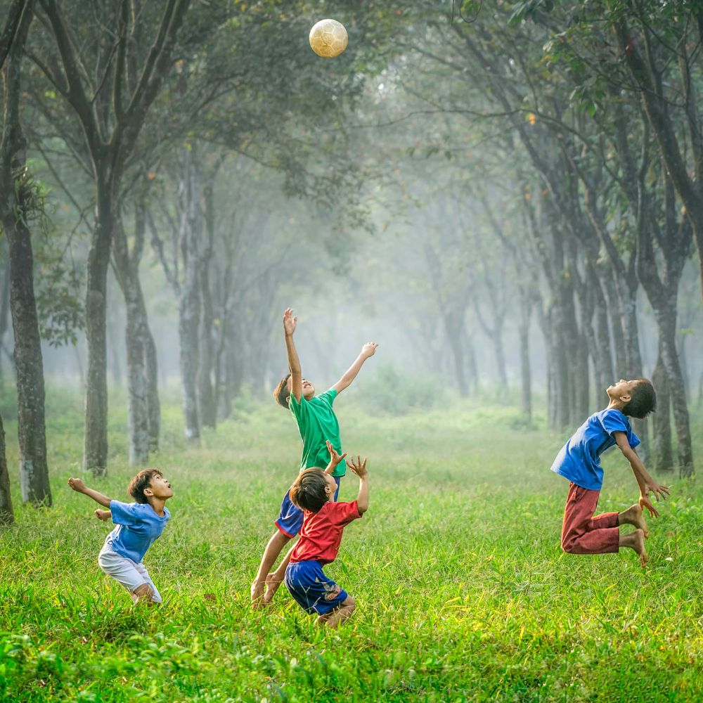 Les représentations sociales de l'autisme : Étude de terrain à Mila